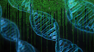 Genetics
