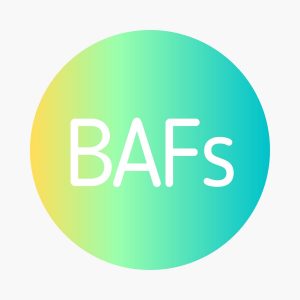 DSE BAFS 企會財