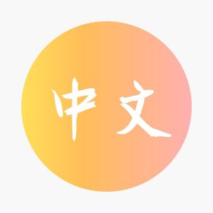DSE Chinese 中文
