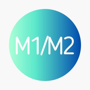 DSE M1/M2 數學延伸一/二