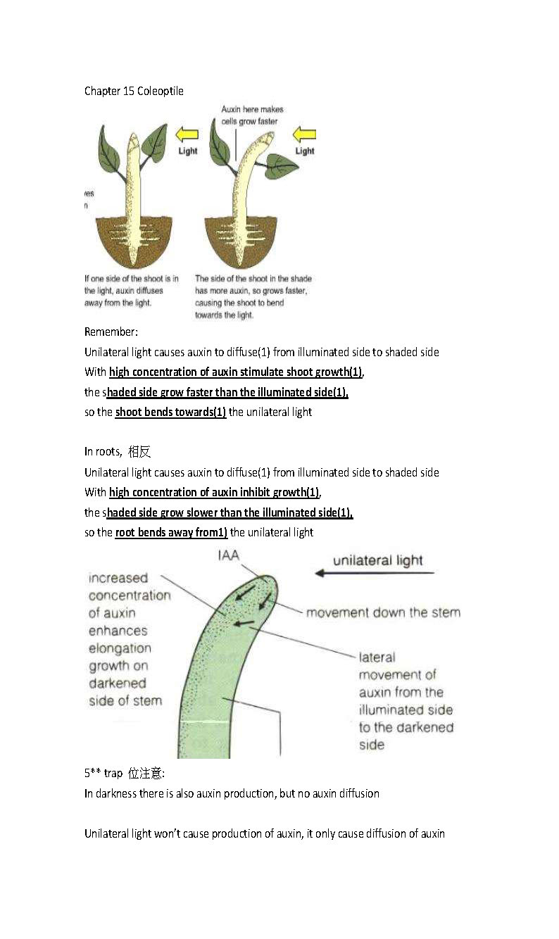 DSE plant all in one 合集 (absorption, support, transpiration, reproduction, growth and development, coleoptile, ecology) sample_頁面_05