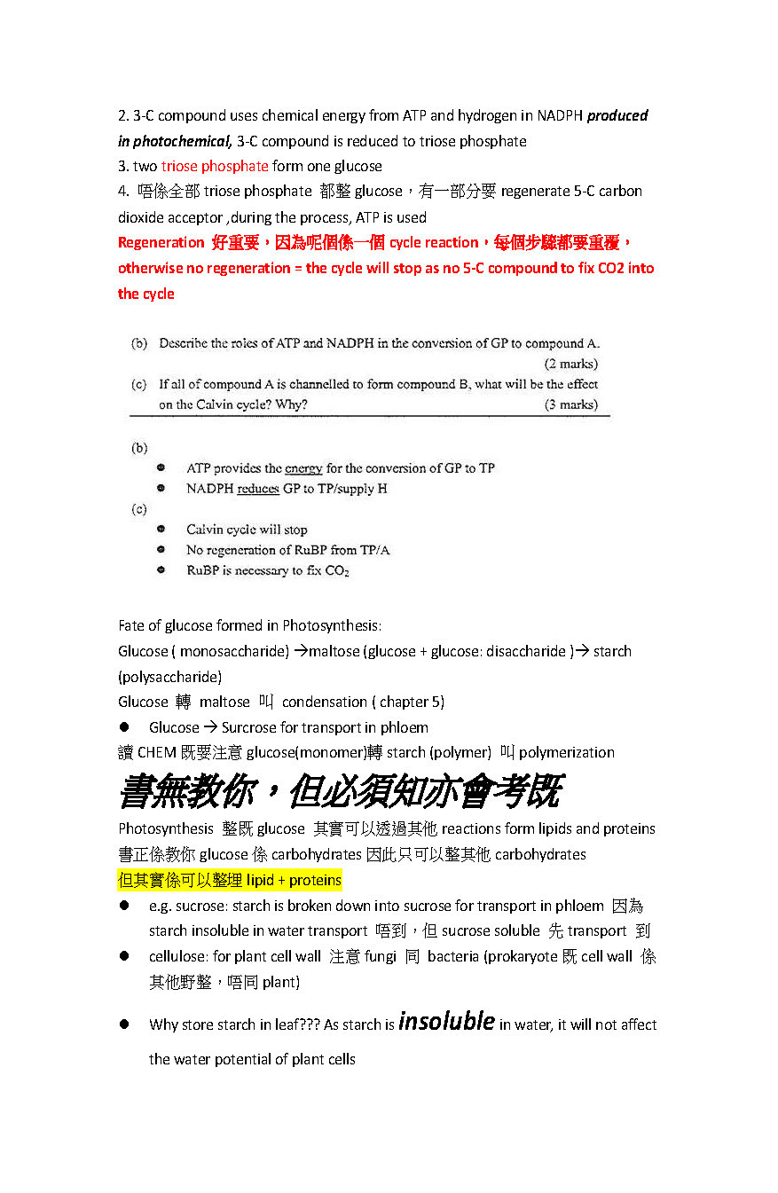 DSE plant all in one 合集 (absorption, support, transpiration, reproduction, growth and development, coleoptile, ecology) sample_頁面_10