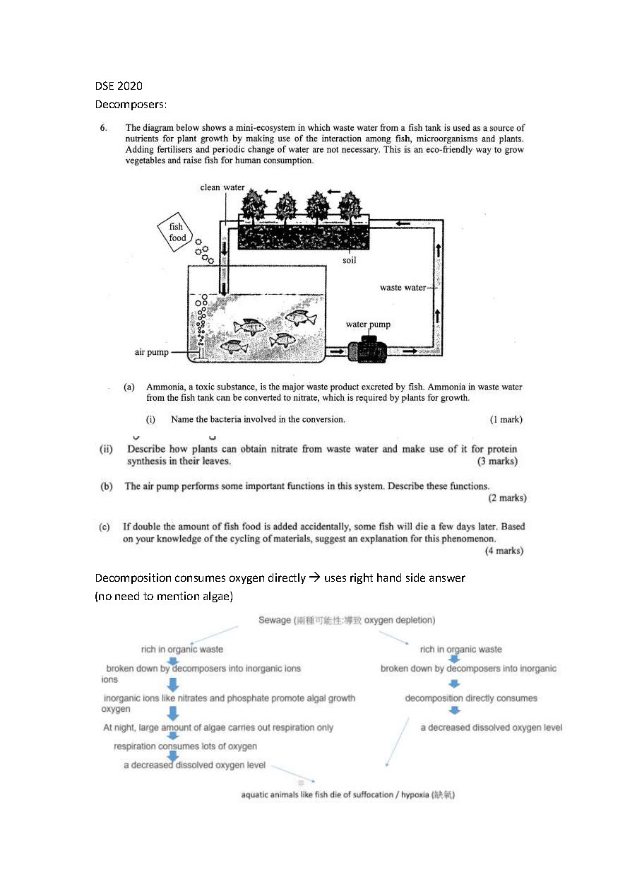 DSE plant all in one 合集 (absorption, support, transpiration, reproduction, growth and development, coleoptile, ecology) sample_頁面_11