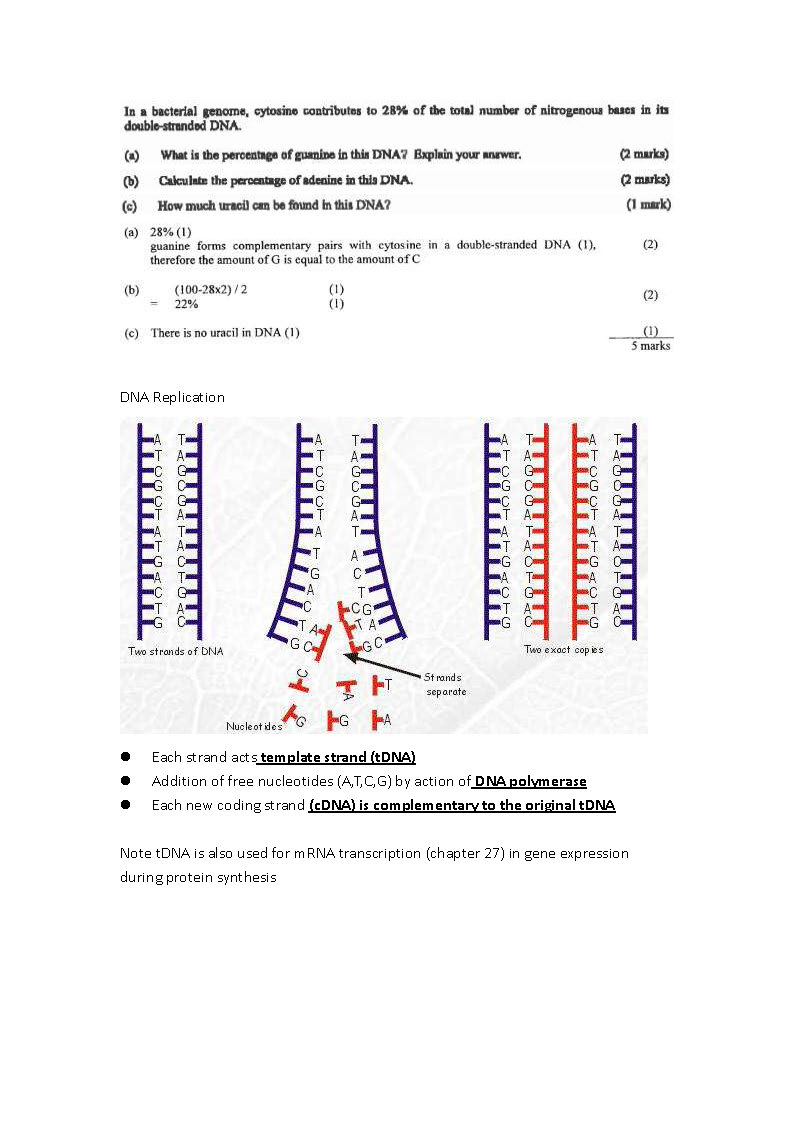 genetics sample_頁面_04