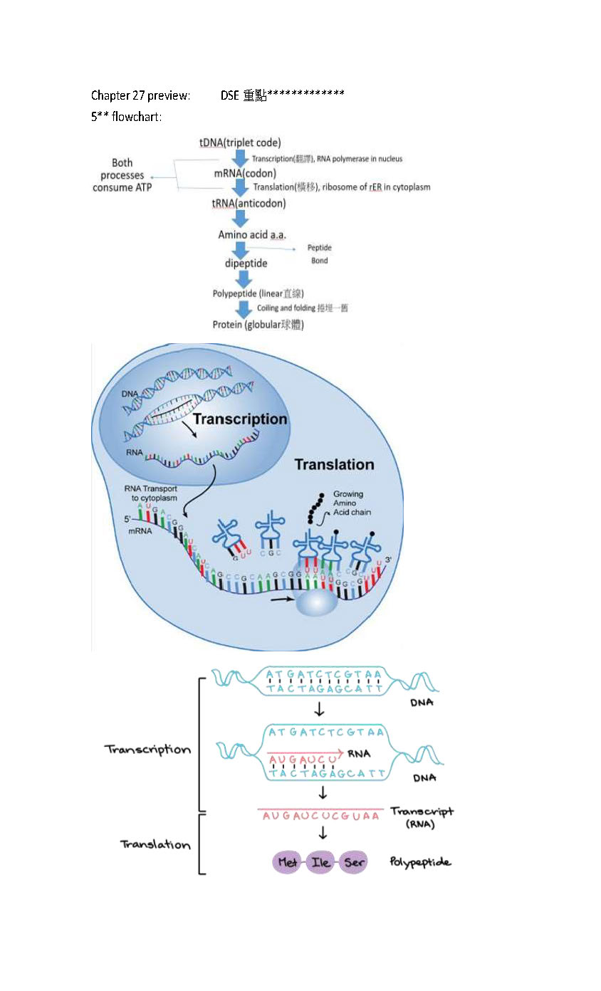genetics sample_頁面_05