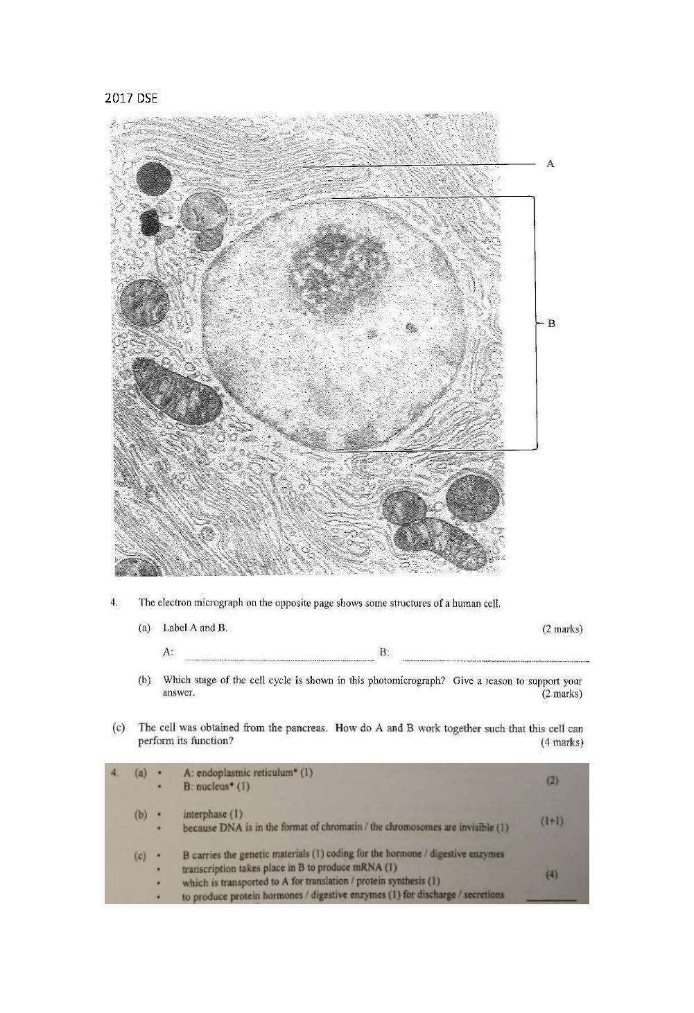genetics sample_頁面_10