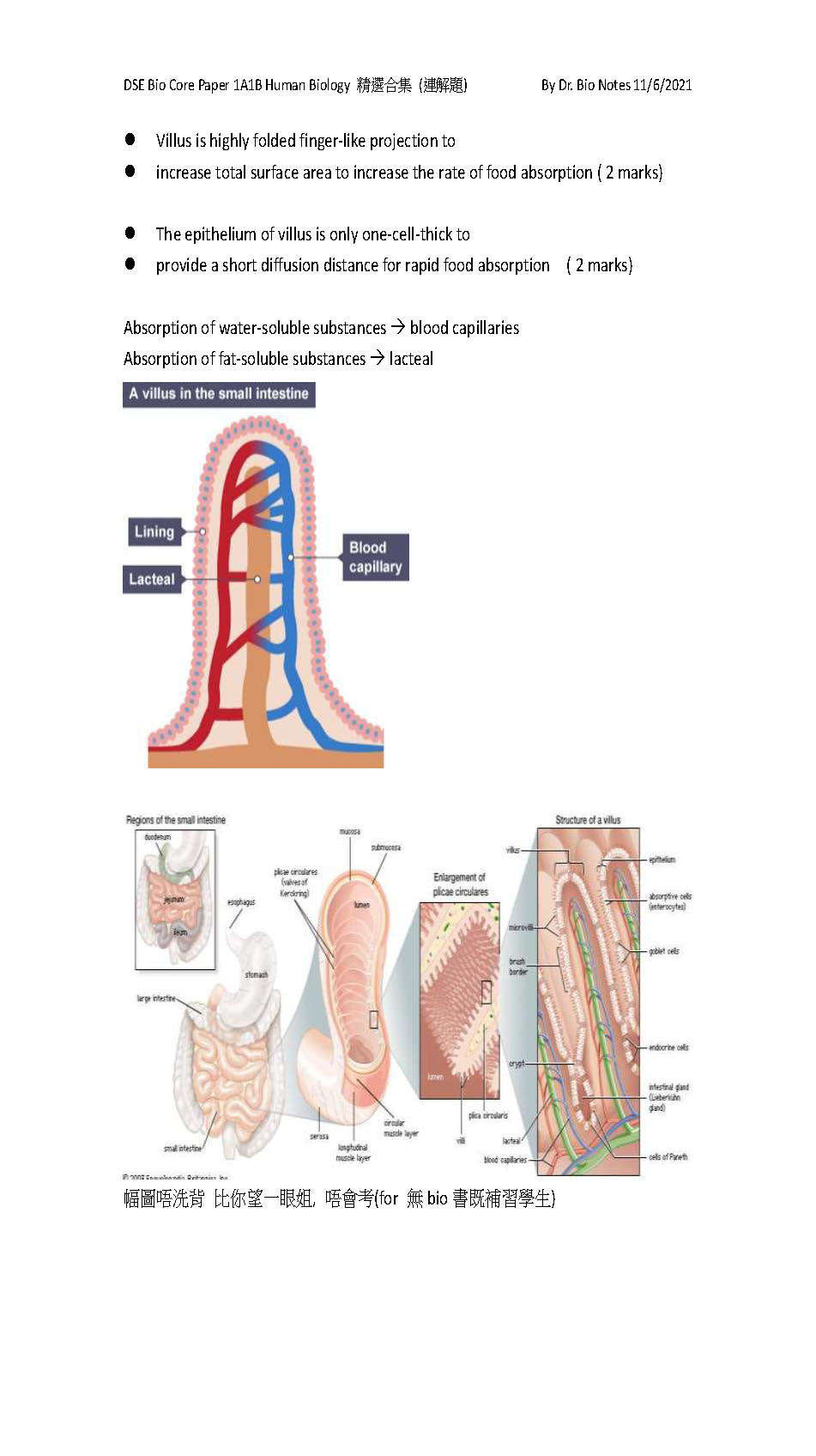 sample of DSE Bio Core Paper 1A1B Human Biology 精選合集_頁面_04