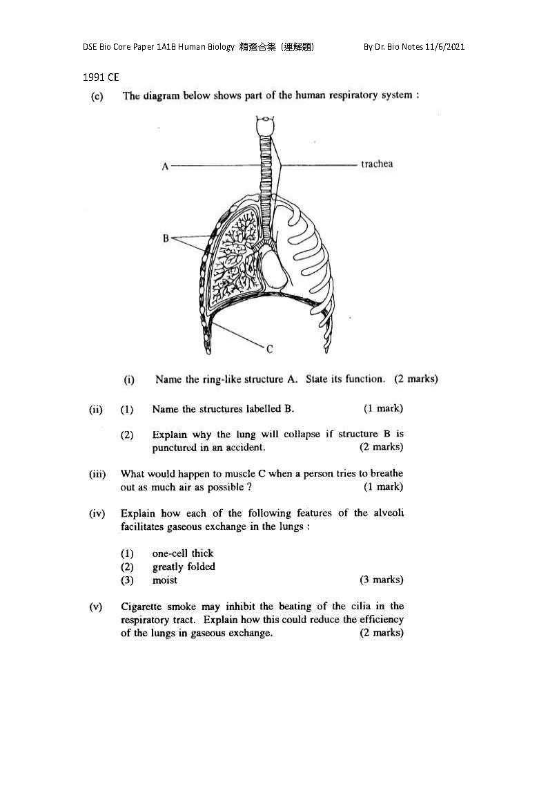 sample of DSE Bio Core Paper 1A1B Human Biology 精選合集_頁面_05