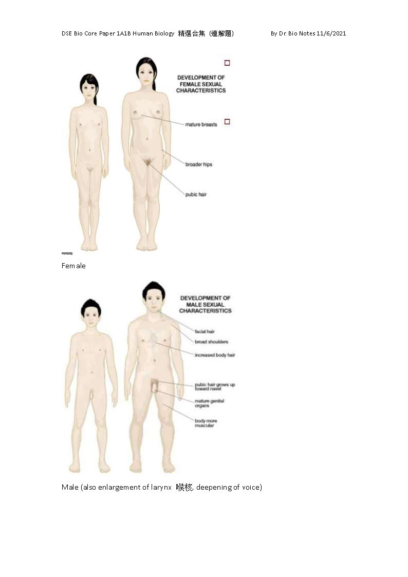 sample of DSE Bio Core Paper 1A1B Human Biology 精選合集_頁面_08