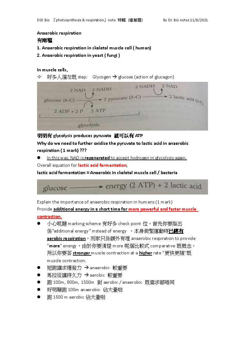 sample of photo and respiration_頁面_2