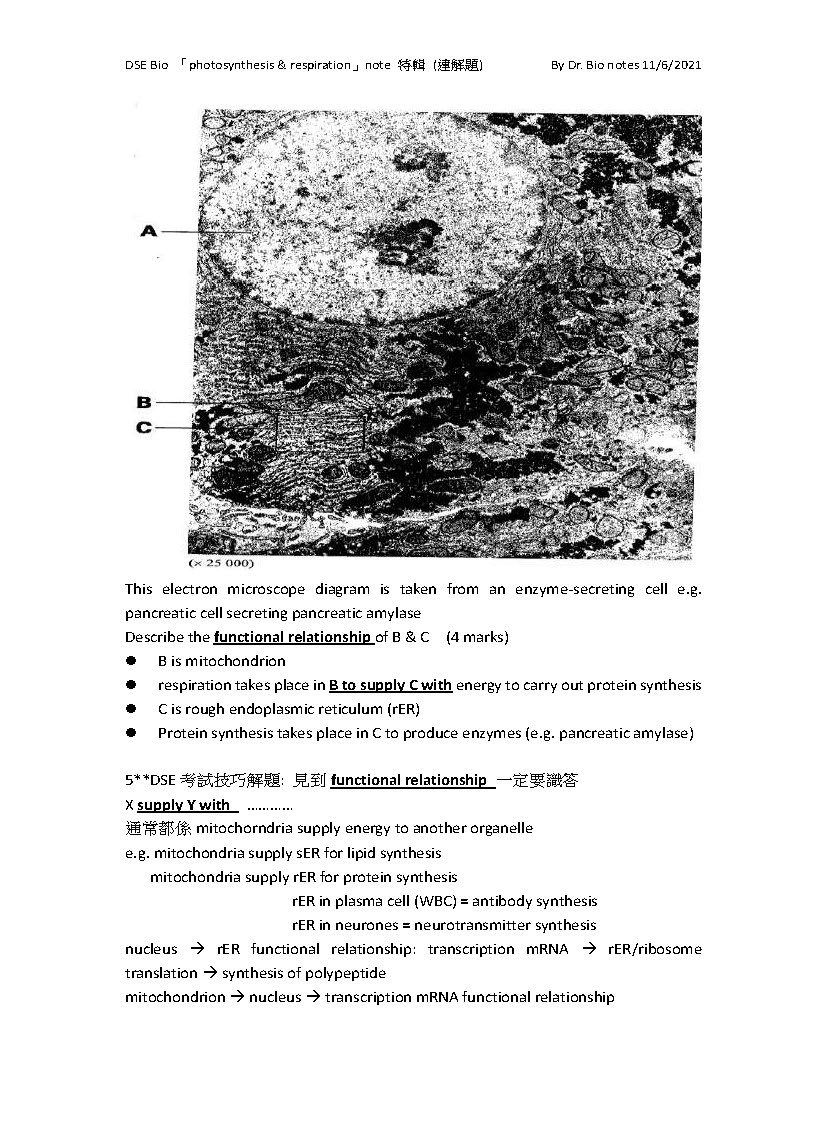 sample of photo and respiration_頁面_5