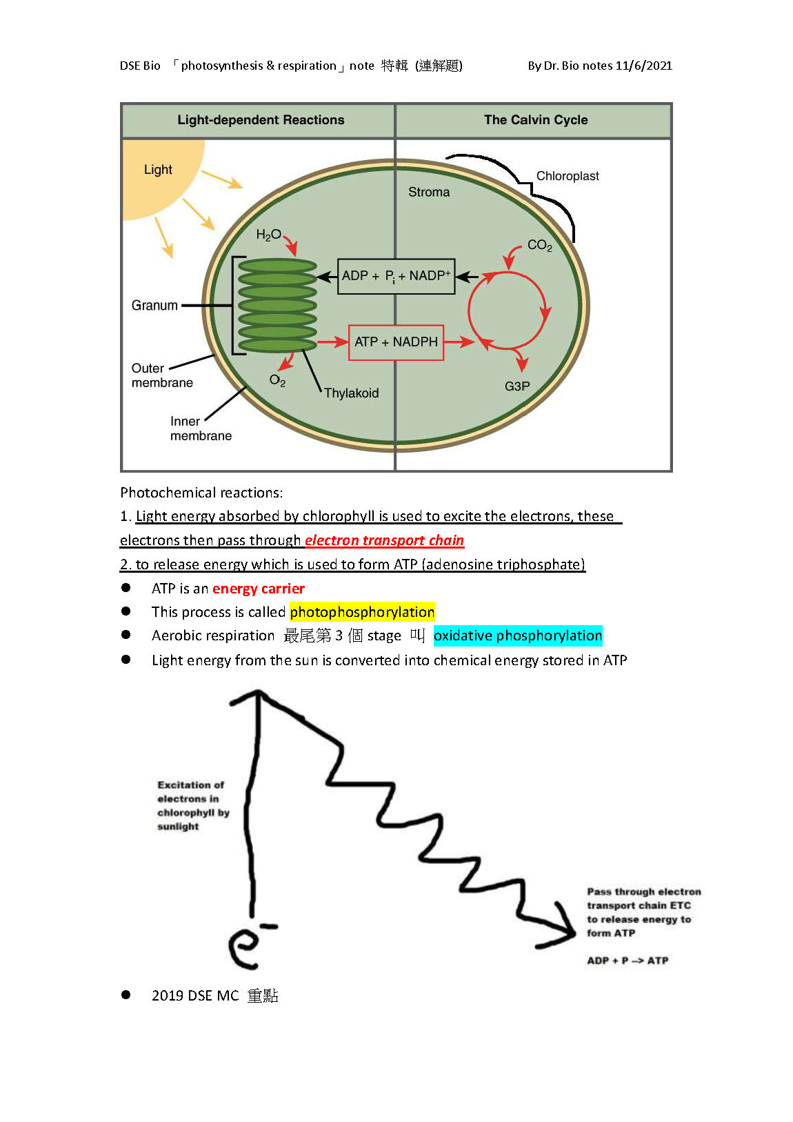 sample of photo and respiration_頁面_6