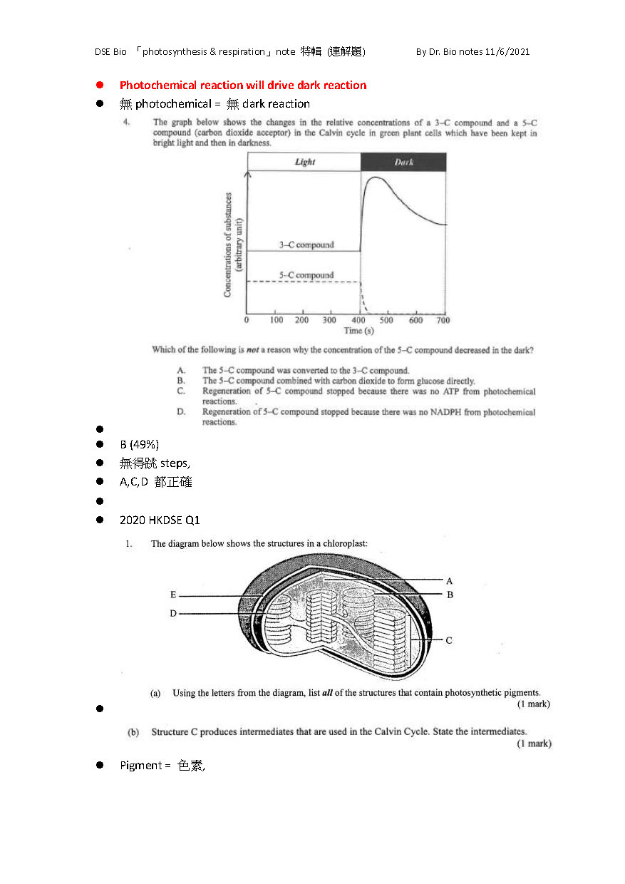 sample of photo and respiration_頁面_7